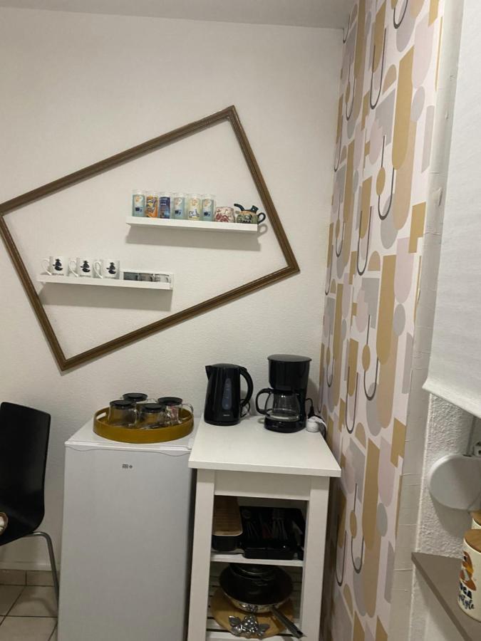 Suzanne Strasbourg Apartment Ngoại thất bức ảnh