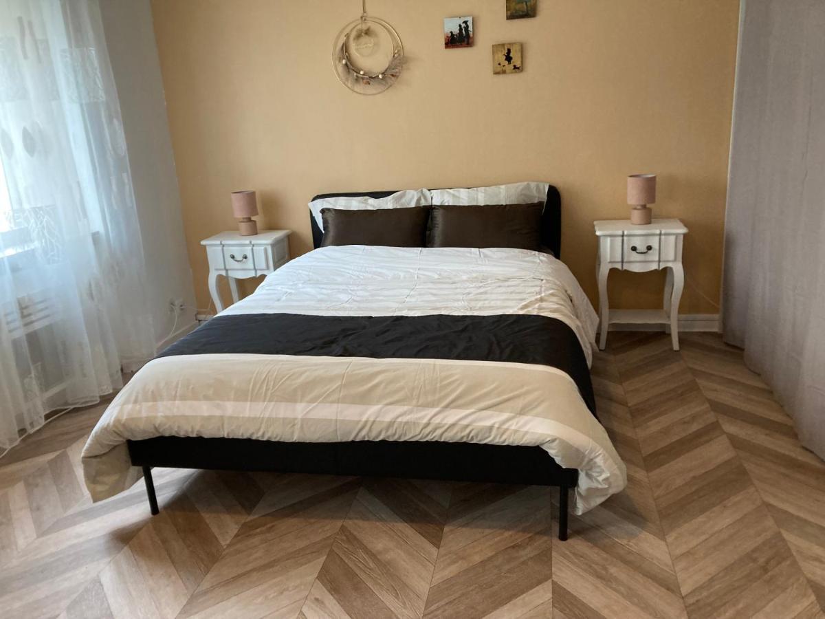 Suzanne Strasbourg Apartment Ngoại thất bức ảnh